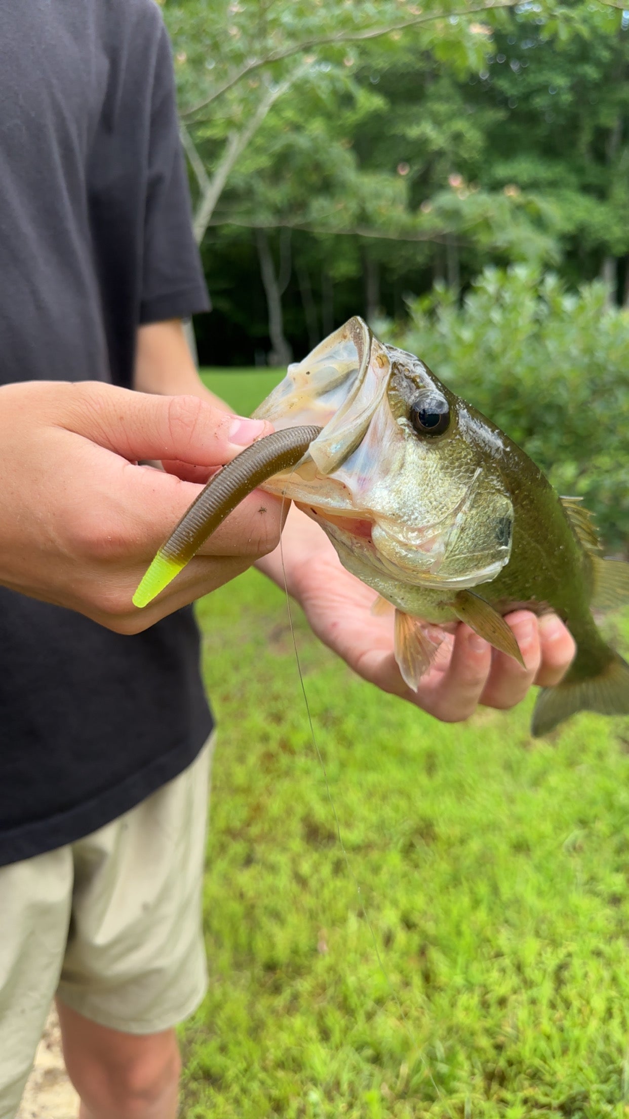 5” Stick Bait