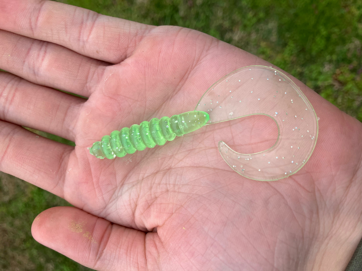 Curly Tail Grub