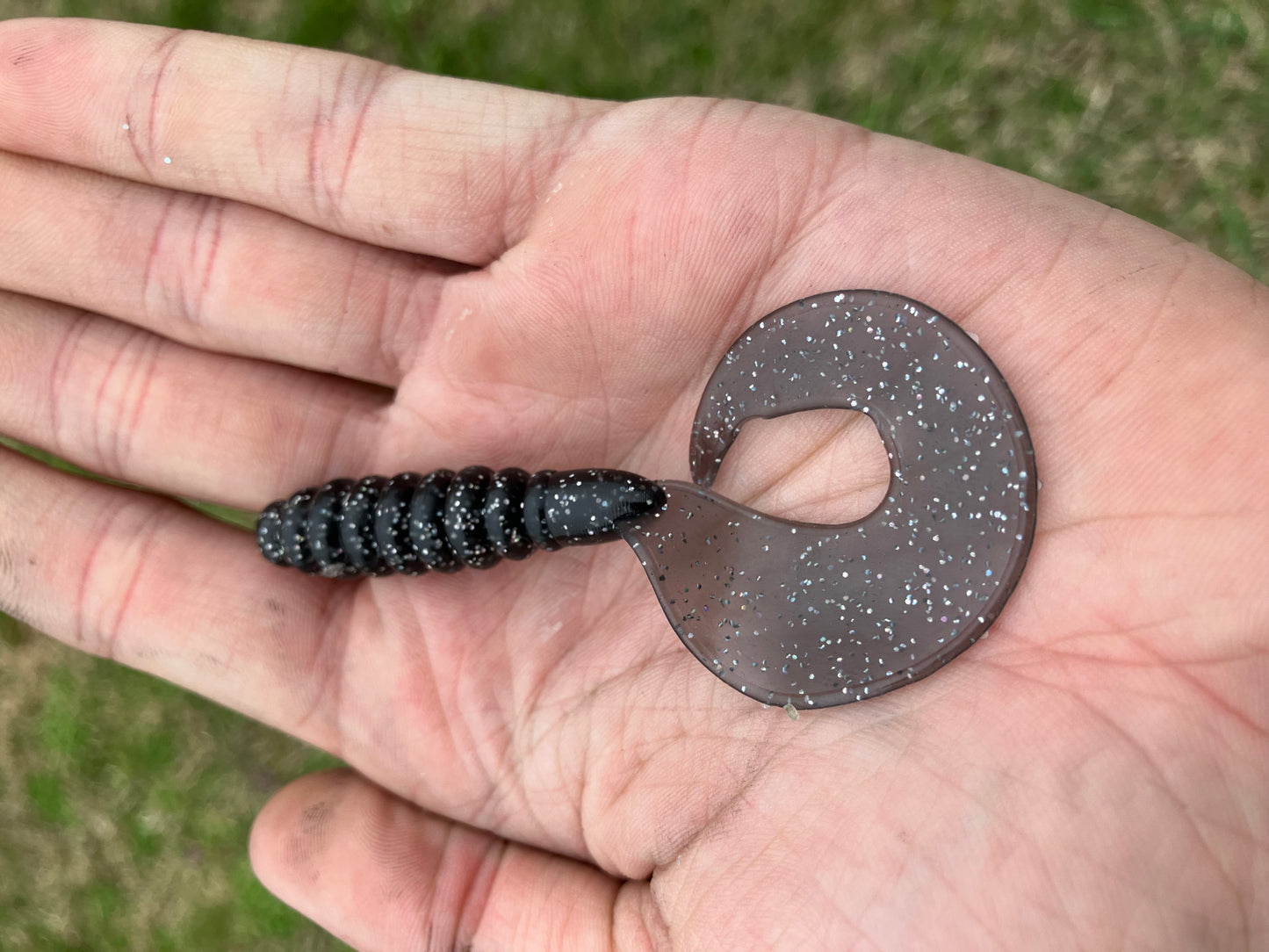 Curly Tail Grub
