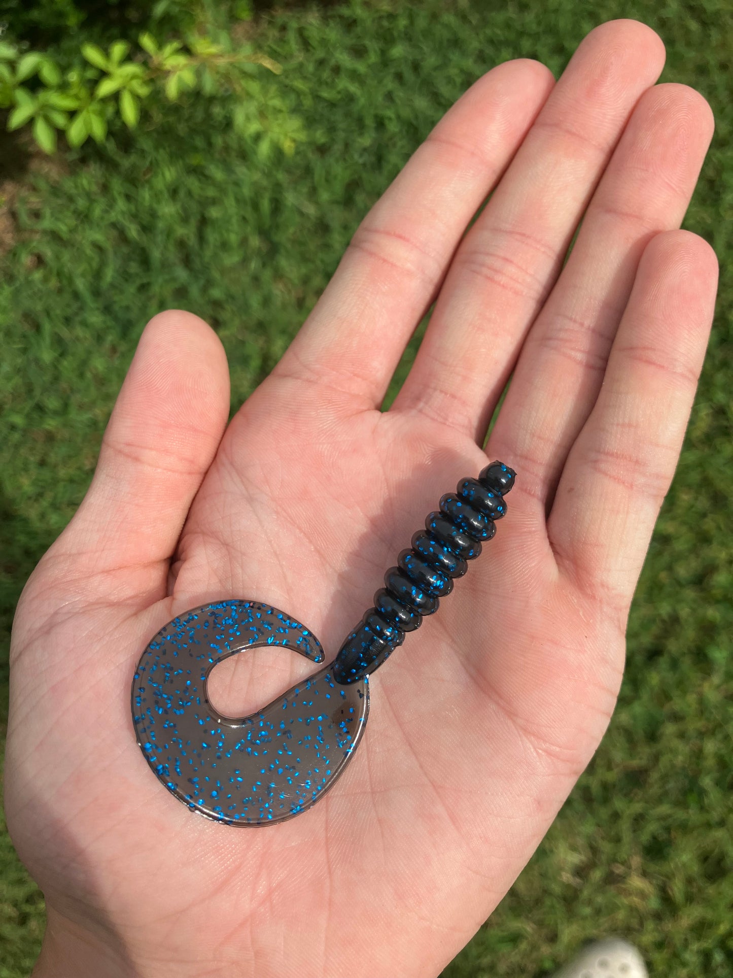 Curly Tail Grub
