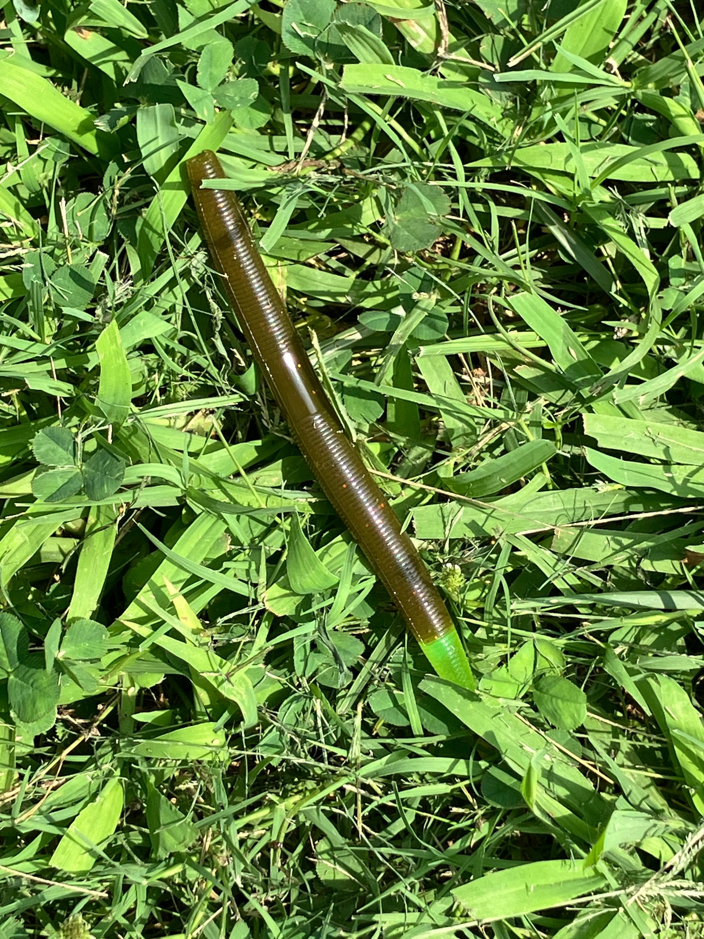 5” Stick Bait