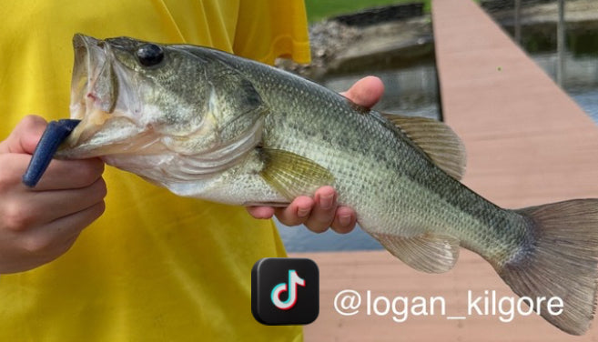 5” Stick Bait