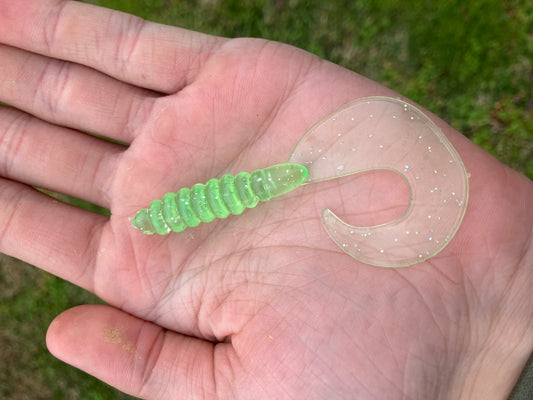 Curly Tail Grub